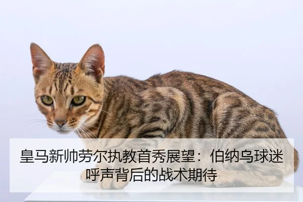 皇马新帅劳尔执教首秀展望：伯纳乌球迷呼声背后的战术期待